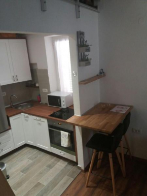 Apartman studio Petar